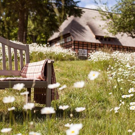 Park Am See X Nattika Ayurveda, Hotel Health Spirit Penzlin 외부 사진
