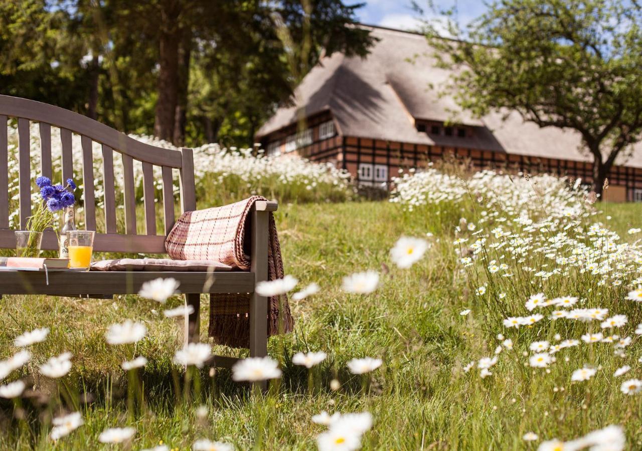 Park Am See X Nattika Ayurveda, Hotel Health Spirit Penzlin 외부 사진