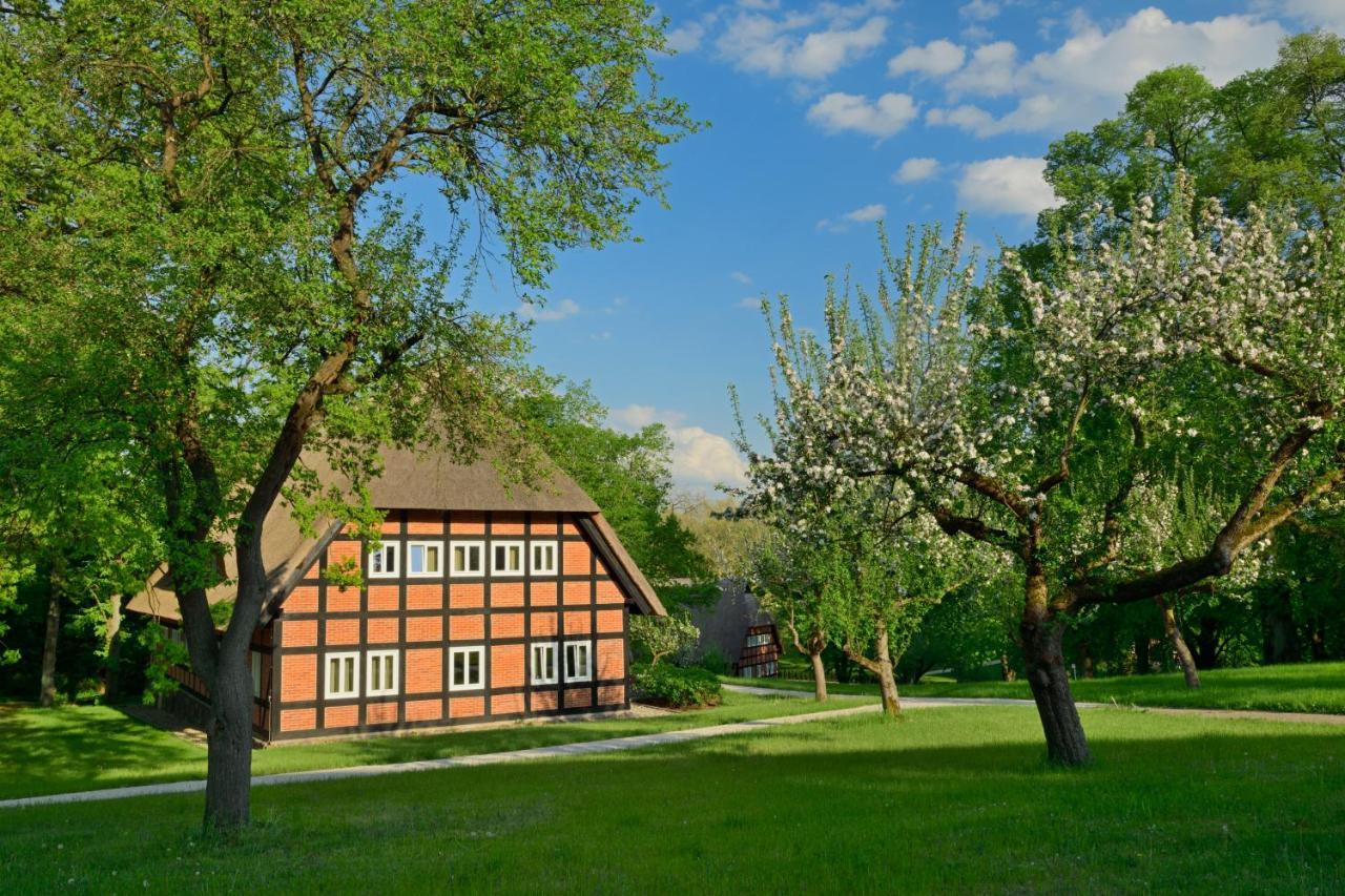 Park Am See X Nattika Ayurveda, Hotel Health Spirit Penzlin 외부 사진