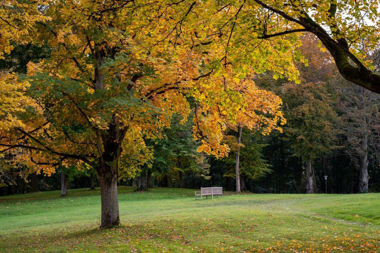 Park Am See X Nattika Ayurveda, Hotel Health Spirit Penzlin 외부 사진